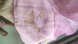 Pink Embellished saree