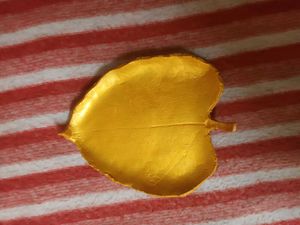 Golden Leaf Trinket Dish