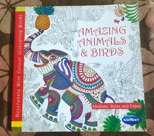Navneet Color Book For Coloring/Painting