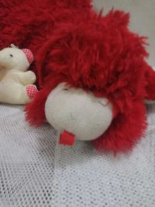 Teddy Bear Set