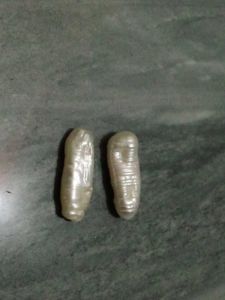 Freshwater Pearl Natural