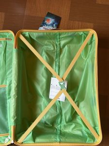 American Tourister Suitcase