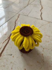 Sunflower Container