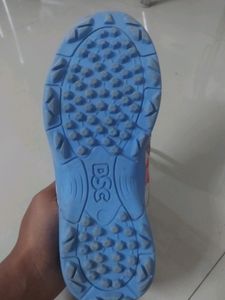 DSC Fearless Cricket Shoes