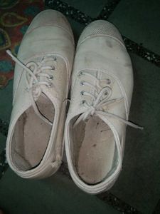 White School Shoes Both Male And Female