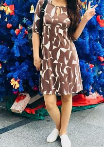 Mini Brown Flared Dress