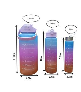 Motivational Water Bottles - Set of  3