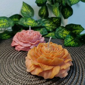 Peony Bloom Candles_ Combo( Set of 2 )