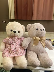 Cute Teddy Bear Duo