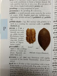 Big Large Illustrated Oxford Dictionary With Pictures