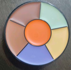 Insight Pro Concealer Palette