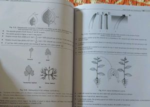 Aakash Mind Map Like Diagram Book Neet