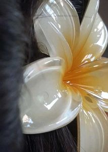 6 Colorful Flower Hair Clature 🌸