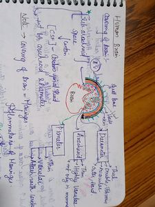 Neet Handwritten Notes In Classmate Spiral Notebook