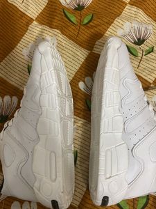 shoe (Coins Not Acceptable)
