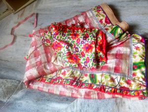 Elegant beutiful chex saree