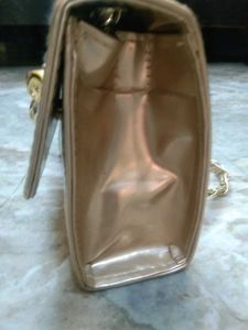 Rose Golden Purse