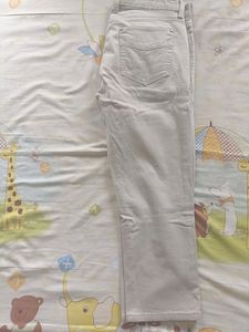 Unisex Beige Colour Pant