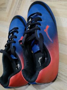 Sports Shoes