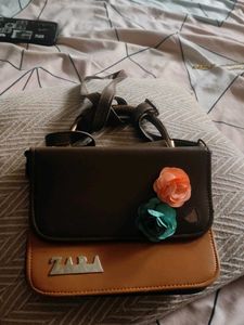 ZARA Handbag