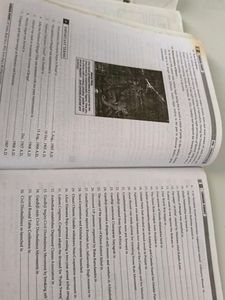 Sst Notes Class 10 With Practice Mcqs!