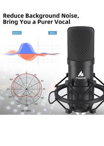 Professional Studio Microphone