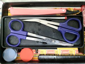 Dissection Instruments (Camel Scholar)