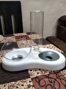 Cat Food and Water Dispenser