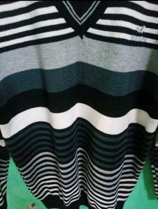 New Men Sweater