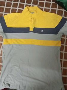 Striped Short Sleeve Polo