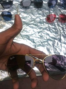 Sunglasses Collection