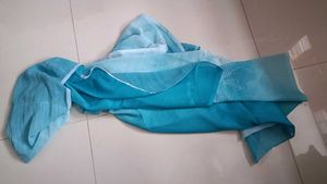 Georgette Dupatta