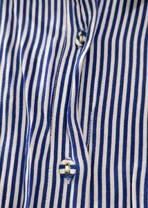 Sassafras Striped Button-Down Shirt