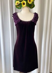 Korean Velvet Dress