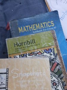 Class 11 Maths, Both English Books