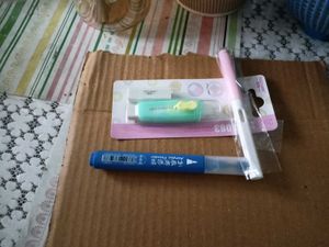 Set Of 15 Highlighters Pens And Acrylic Painter Pn