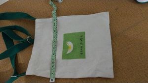 Mini Tote Bag