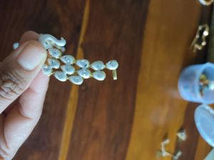 Peacock Earings