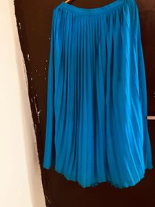 Pleated Skirt