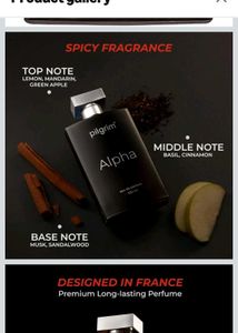 Pilgrim Alpha Perfume - 100ml eau de parfum