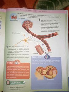 CBSE class 10th Science Learning Book From Byjus