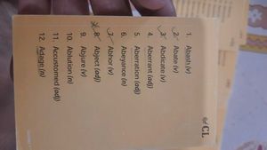 Vocabulary Flash Cards