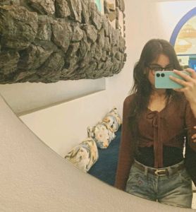 Brown sheer pull over