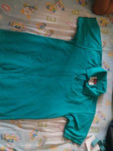 Sea Green Tshirt