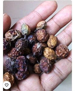 Great Neem Seeds 350gms