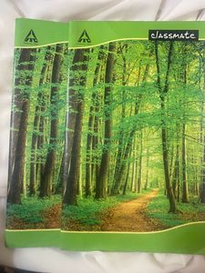 Long Plain Pages Two Notebook