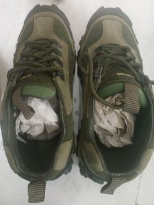 Wood Land Brand New Shoes