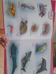 Vikas Board Book-Navneet-Domestic, Aquatic Animal