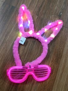 Bunny Ear &amp; Shutter Shades Set