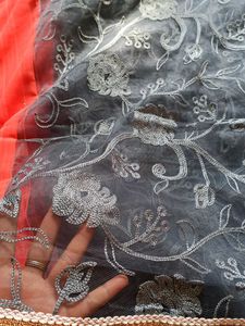 Net..Saree